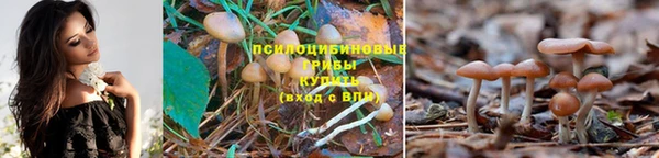 бутират Ельня