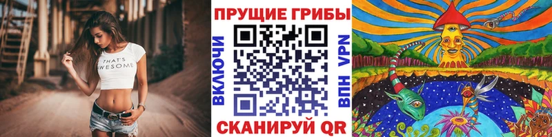 Купить  Болохово  Галлюциногенные грибы мухоморы 